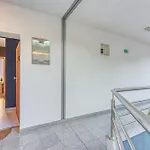 Dea - Three Bedroom Pula