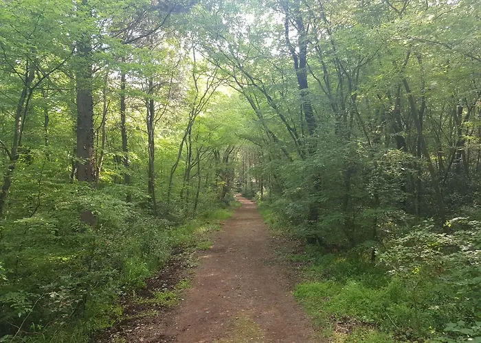 Dea - Three Bedroom Lejlighed