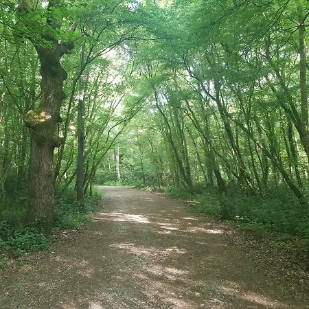 Dea - Three Bedroom Апартаменты *