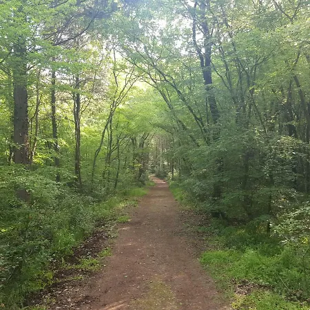 Dea - Three Bedroom Апартаменты